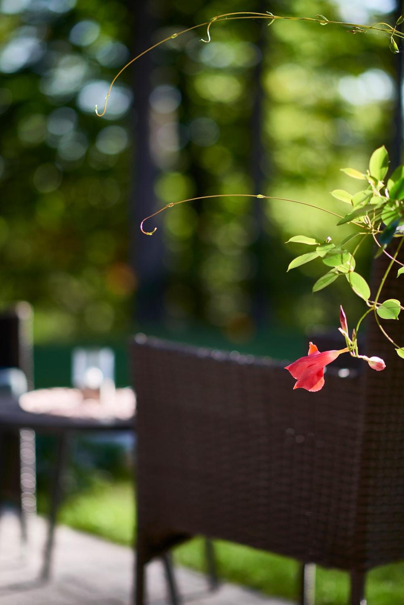 B&B Plitvica Creek Plitvica selo Δωμάτιο φωτογραφία